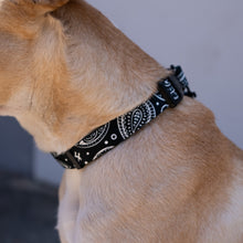 Load image into Gallery viewer, OG Bandito Pet Collar
