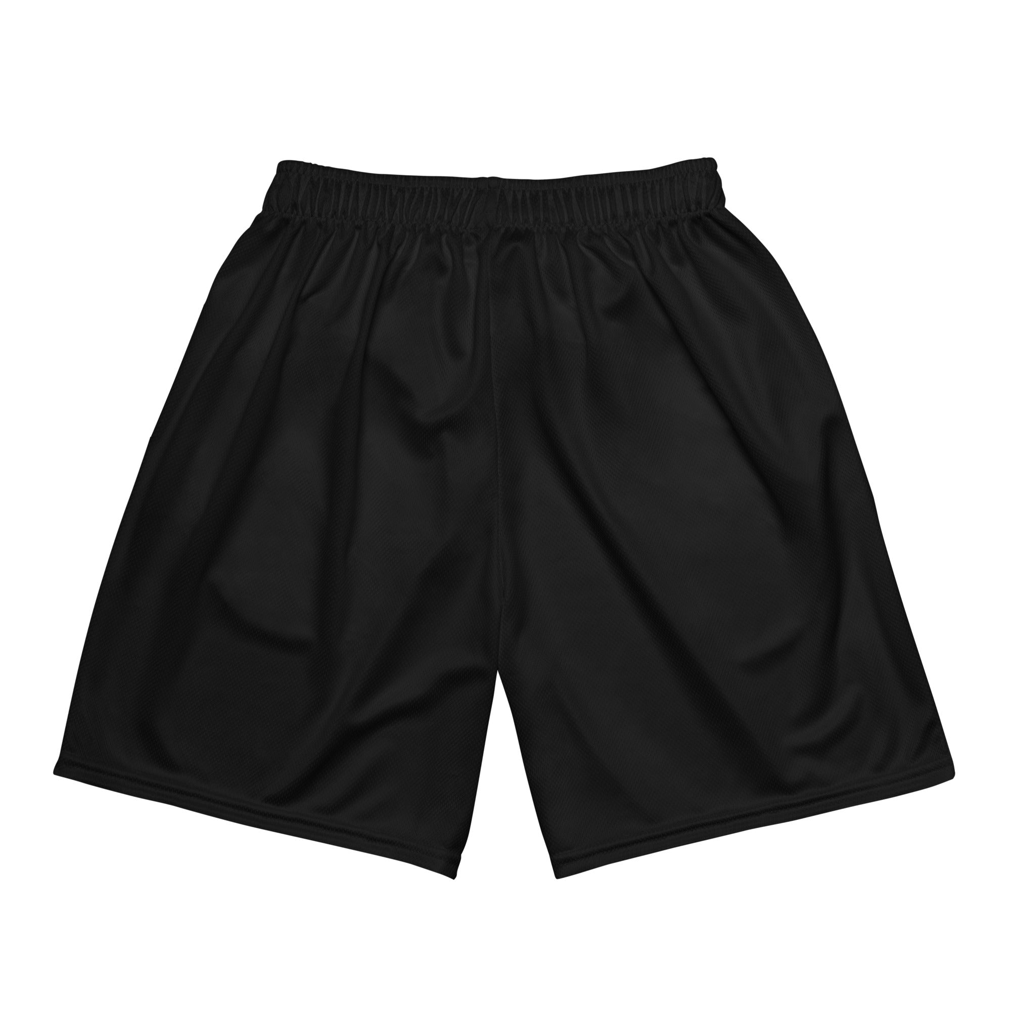 Shield Mesh Shorts – Freedom Street Garage